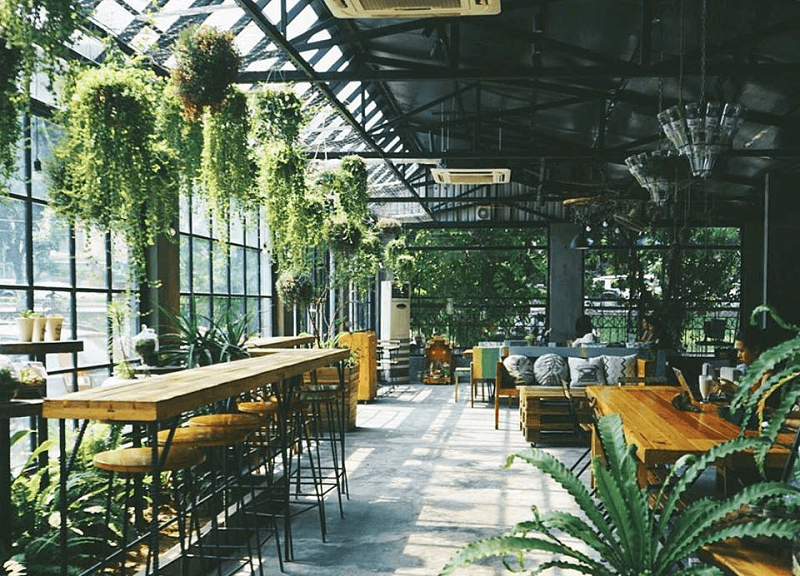 thiết kế quán cafe nhiệt đới