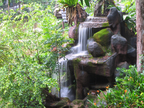 thác nước vườn nhiệt đới