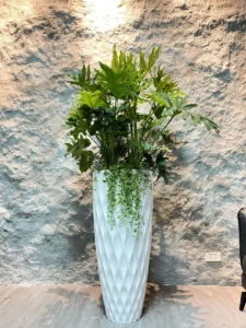 Chậu composite tự dưỡng