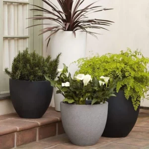 DECOR CHẬU TRỒNG CÂY XI MĂNG ĐÁ MÀI HÌNH TRỨNG