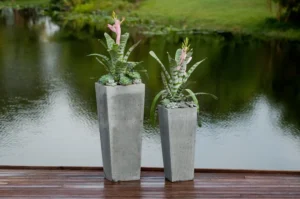 Hai chậu composite vuông cao dáng vát, màu xám đá, trồng cây dứa cảnh, đặt trên sàn gỗ bên hồ