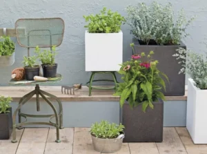 THIẾT KẾ CHẬU TRỒNG CÂY XI MĂNG MÀI HÌNH VUÔNG