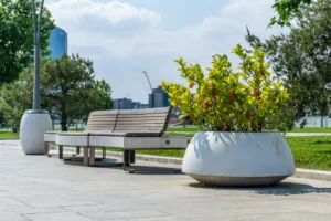 Chậu bê tông trắng dáng bầu dẹt trồng cây lá vàng xanh trong công viên