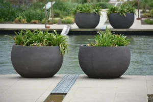 Hai chậu xám đen dáng tô tròn miệng rộng trồng cỏ lá, đặt bên hồ nước